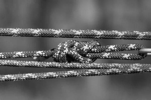 Slackline equipment . Rope — Stock Photo, Image