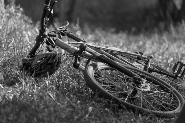 夏の公園で自転車 — ストック写真