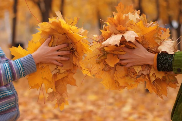 Χρυσαφένια φύλλα στα χέρια — Φωτογραφία Αρχείου