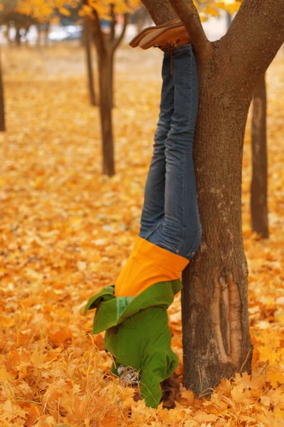 yoga in the autumn park