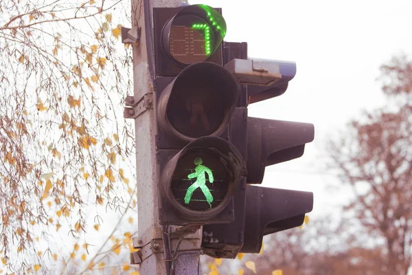 Yeşil Trafik Işığı