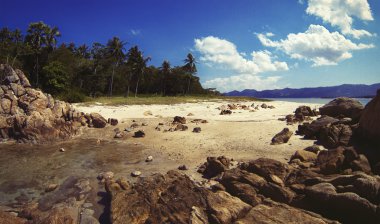 ıssız bir tropik ada