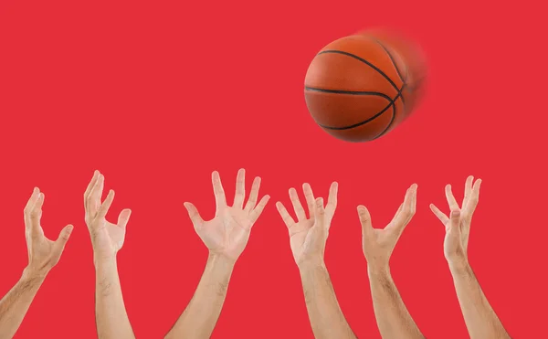 Hände fangen einen Basketball — Stockfoto