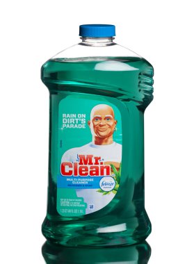Miami, Amerika Birleşik Devletleri - 18 Ağustos 2015: Bir şişe Bay temiz çoklu yüzeyleri sıvı temiz w/Febreze çayırlar ve yağmur kokusu, 40 oz.