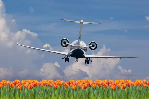 Bir özel jet iniş arka görünümü