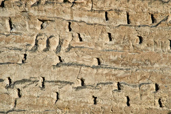 Găuri Peretele Piatră — Fotografie, imagine de stoc