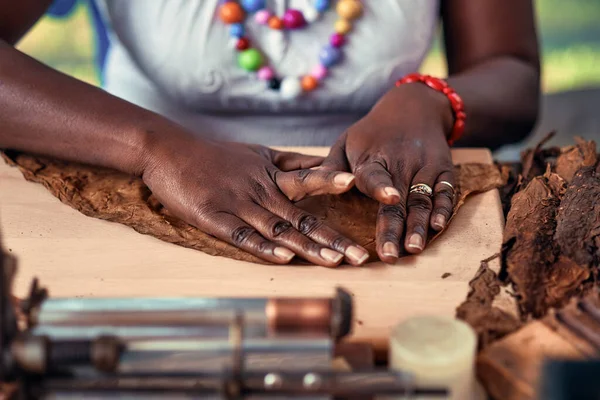 Närbild Kvinnliga Händer Som Gör Cigarr Tobaksblad Traditionell Tillverkning Cigarrer — Stockfoto