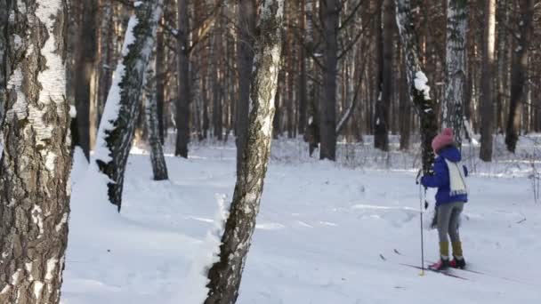 Tyumen, Oroszország - 2016. február 24.: Fiatal lány síelő és egy fiatal pár, a sprint klasszikus stílusban, a téli erdő. — Stock videók