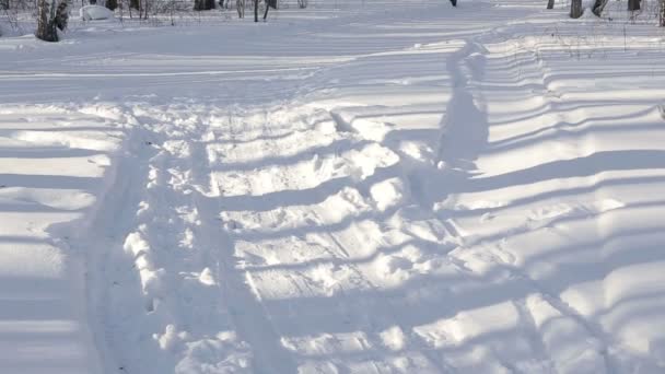 Дві дорослі жінки, катання на лижах у красивий зимовий день . — стокове відео