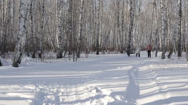 Tyumen, Ρωσία – 24 Φεβρουαρίου 2016: Μια ομάδα ανθρώπων, ανώμαλο να κάνει σκι σε μια όμορφη μέρα του χειμώνα — Αρχείο Βίντεο