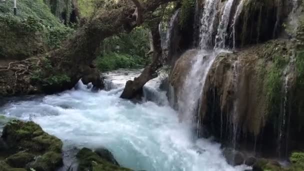 Şelale tropikal orman dağlarında, yeşil ormanın içinde tropikal şelaleler. HD 1920 x 1080. — Stok video