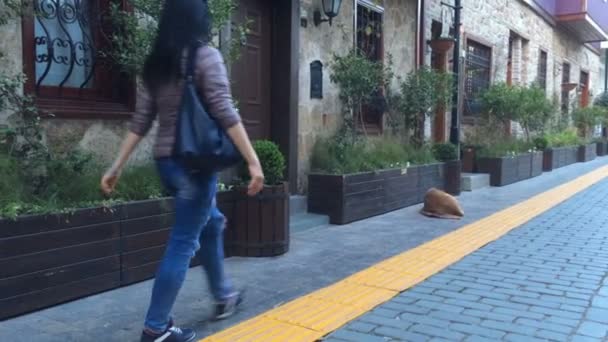 Eine frau mit tasche auf der schulter spaziert in der dämmerung die alte europäische straße entlang — Stockvideo