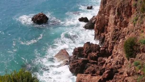 Морские скалы с высоты в летний солнечный день. Пейзаж, стоящий на горе . — стоковое видео