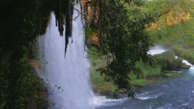 Şelale Park. Şelaleler yeşil ormanın içinde. HD 1920 x 1080.