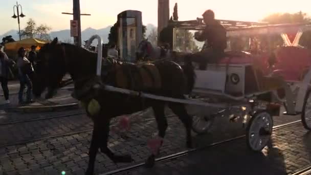 Antalya, Türkiye - 15 Mart 2016: Koçluk taşıma şehir Antalya ' da cadde üzerinde. — Stok video