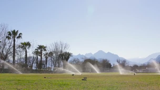 Water fountains are watered lawn. — Stock Video