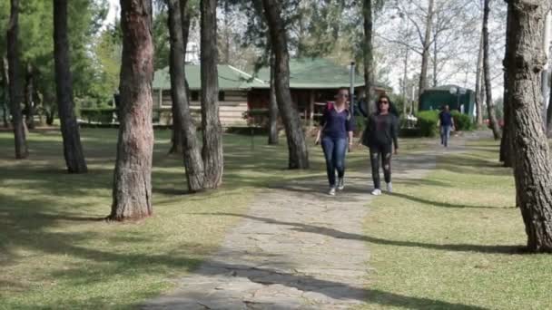 Vriendinnen met tassen wandelen in het groene woud. Wandelen over het park. — Stockvideo