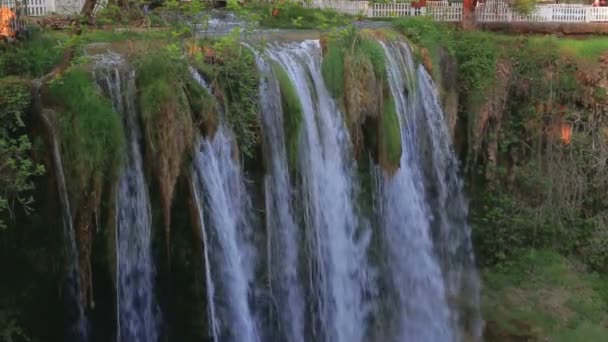 Cascade en montagne. Paysage d'été avec arbres et herbe . — Video