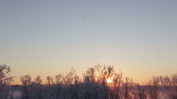 Colpo lungo dietro aeroporto aereo atterraggio al tramonto crepuscolo . — Video Stock