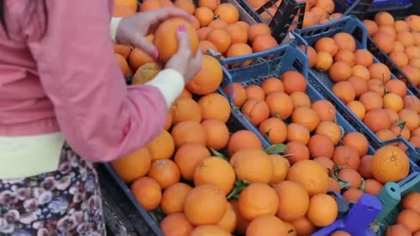 Vacker kvinna sätter orange i påsen ur lådan. Stora mogna apelsiner ligga i lådor. — Stockvideo