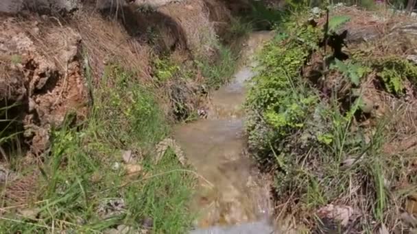 Z bliska mały wodospad — Wideo stockowe