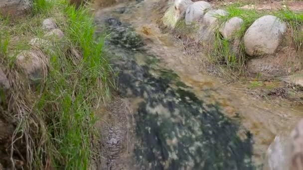 Невеликий водоспад крупним планом — стокове відео