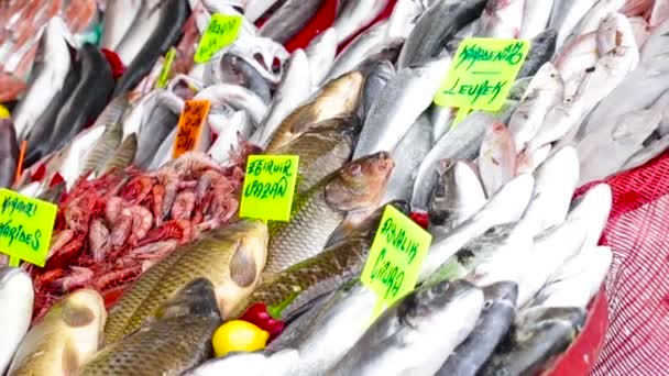 Bänkskiva med fisk och skaldjur marknaden. Närbild — Stockvideo