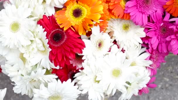 Bandeja de legumes e flores no mercado, close-up — Vídeo de Stock