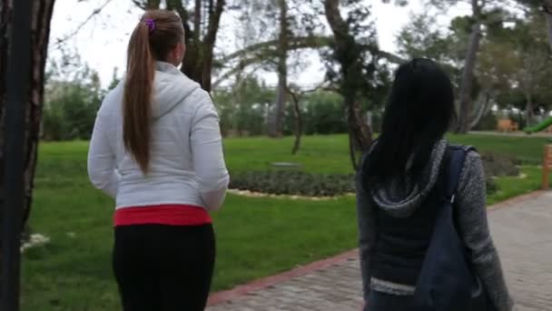 Δύο φίλοι περπατούν στο πάρκο ένα καλοκαιρινό βράδυ — Αρχείο Βίντεο