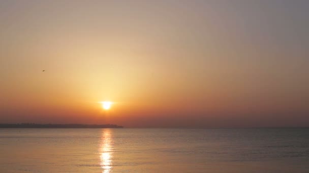 뷰티 프리 새벽 바다 — 비디오