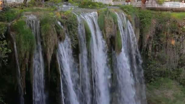 Grande cascata nel parco in estate — Video Stock