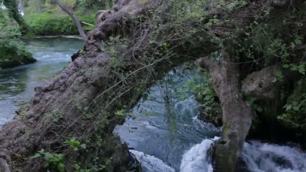 Velký vodopád v parku v létě — Stock video