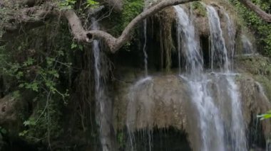 Yaz aylarında parktaki büyük şelale