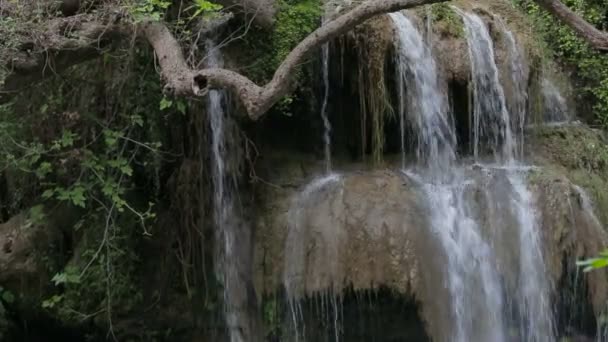 Большой водопад в парке летом — стоковое видео