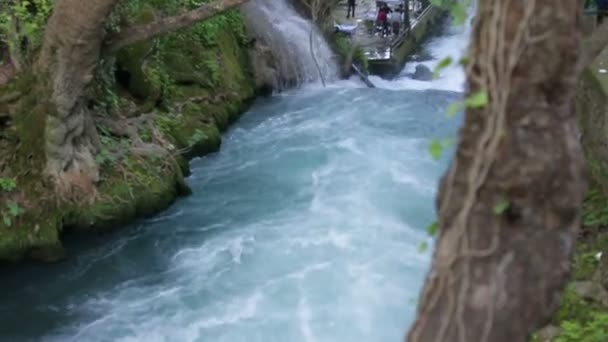 Большой водопад в парке летом — стоковое видео