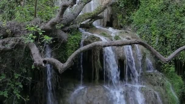 夏天在公园的大瀑布 — 图库视频影像