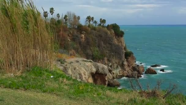 De golven slaan tegen de rotsen op het strand — Stockvideo