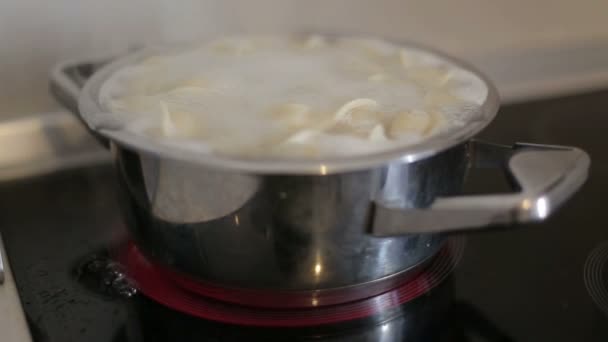 俄罗斯国家食品饺子煮在锅里 — 图库视频影像