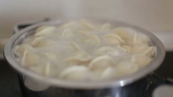 Russische nationale voedsel dumplings sudderen in een pan — Stockvideo