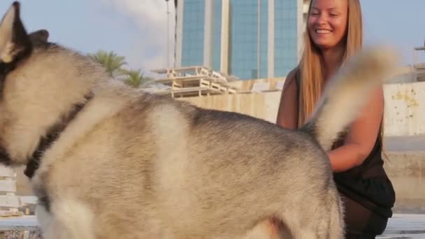 Siberian husky dziewczyna gra z psem na plaży — Wideo stockowe