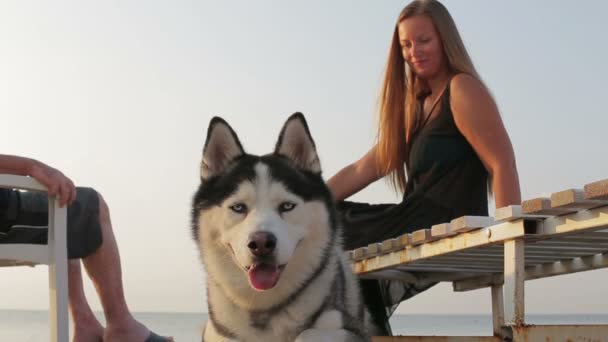 Siberian husky menina brinca com um cão na praia — Vídeo de Stock