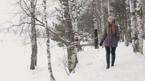 Женщина, идущая по снежному лесу — стоковое видео