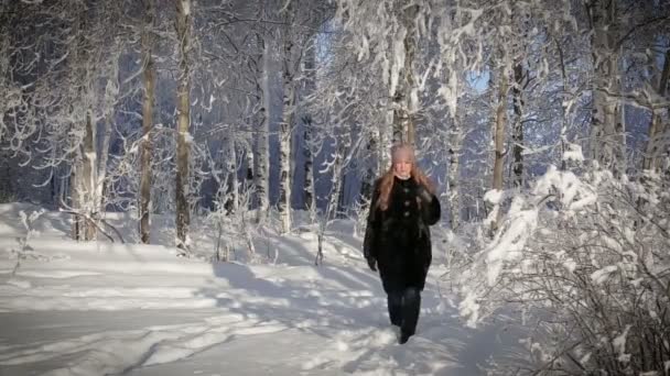 Μια όμορφη γυναίκα που είναι ευχαριστημένοι και βόλτες στο πάρκο σε μια μέρα του χειμώνα. — Αρχείο Βίντεο