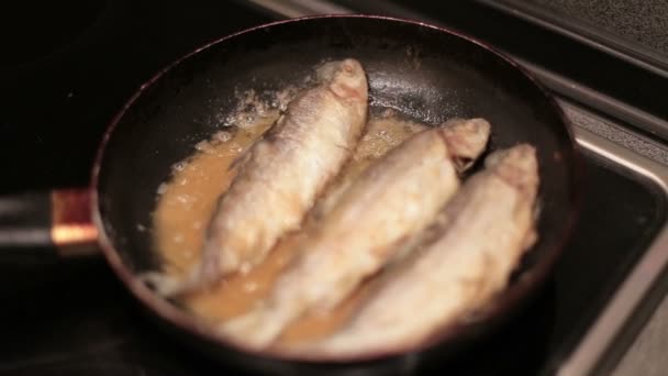 Рыбу жарят на сковородке. . — стоковое видео