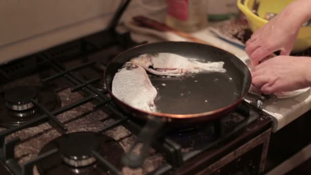 Vis is wordt gebakken op de koekenpan. Close-up. — Stockvideo