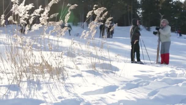 Koergan, Rusland - 14 februari 2016 oren van gras op de achtergrond van het bos, mensen zijn actief in de sport is de focus in Rusland op Koergan Zuid-Oeral, Rusland, 14 februari 2016. — Stockvideo