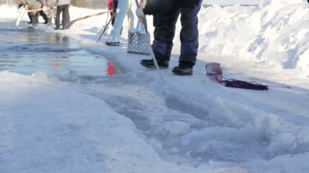 Kurgan, Rusya - 14 Şubat 2016: üzerinde 14 Şubat 2016 yılında Kurgan Güney Ural Rusya'da karlı bir Sevgililer günü donmuş gölde buz aşırı yelken için kesmek için özel bir gördüm bir adam kullanır. — Stok video