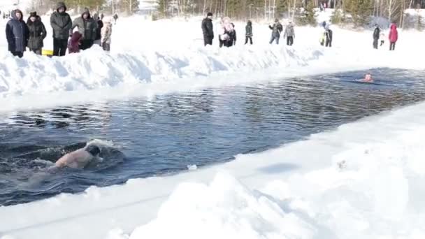 Kurgan, Ρωσία-14 Φεβρουαρίου, 2016, αγώνες κολύμβησης το χειμώνα σε μια παγωμένη λίμνη. Εξαιρετική γυμναστική. 14 Φεβρουαρίου, 2016 στα νότια Ουράλια Κούργκαν, Ρωσία . — Αρχείο Βίντεο