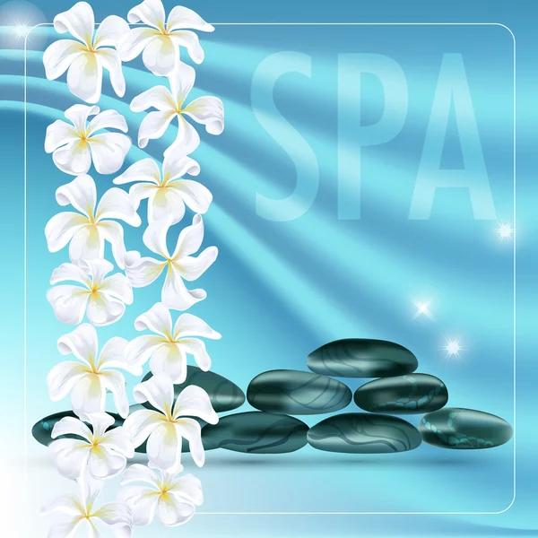 Vector illustration with dark stones and  white flowers . — Stock Vector