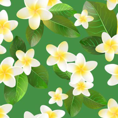 Sorunsuz vektör desen beyaz çiçek ve yaprakları ile.